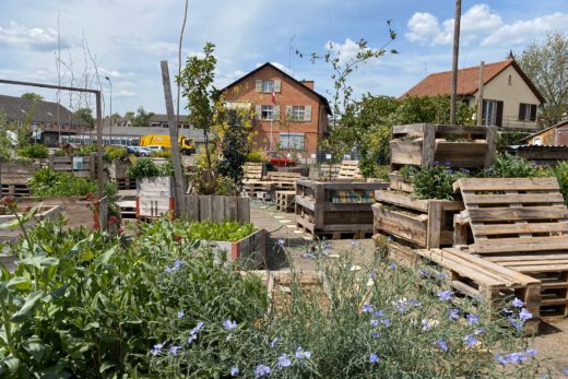Urban gardenin im Zeughausareal