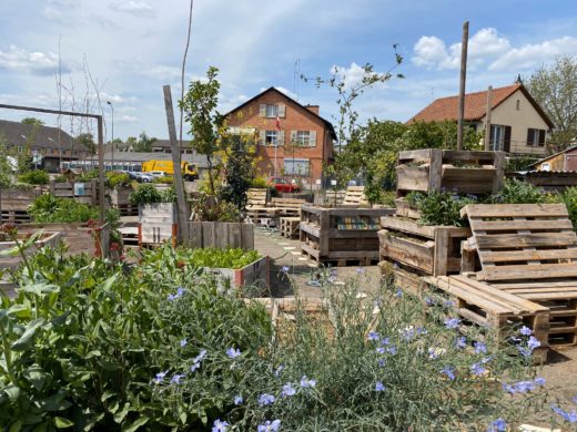 Urban gardenin im Zeughausareal