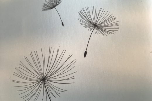 3 skizzierte Pusteblumen