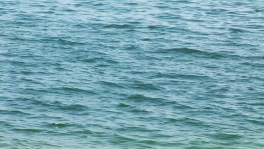 Nahaufnahme von der Oberfläche des Greifensees