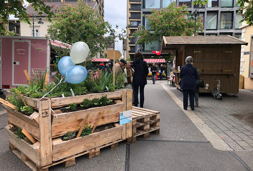 Eine grüne Oase im Stadtkern. Sie kann auch zum Verweilen genutzt werden..