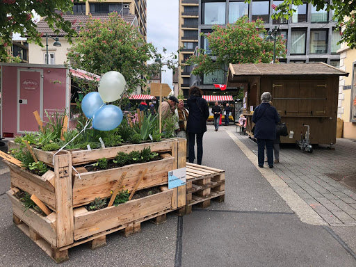 Eine grüne Oase im Stadtkern. Sie kann auch zum Verweilen genutzt werden..
