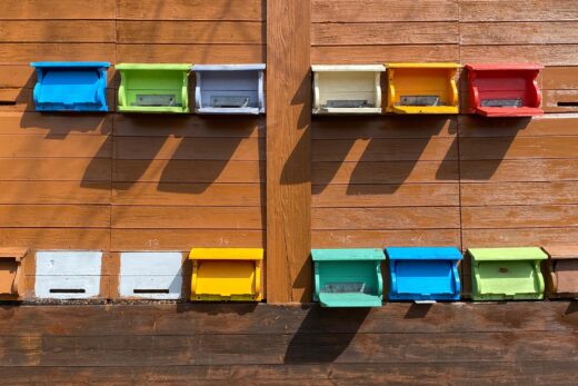 Ein ganz farbiges Bienenhäuschen mit vielen Eingängen