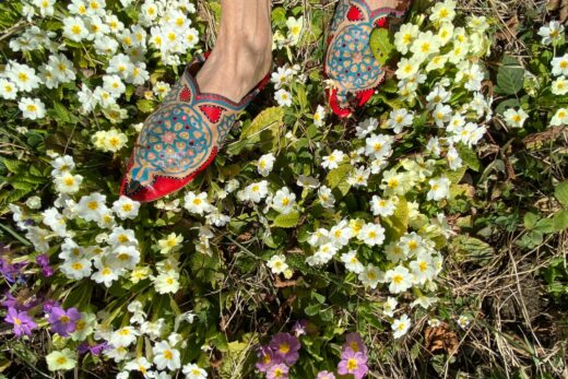Zwei farbige Schuhe auf einer Blumenwiese